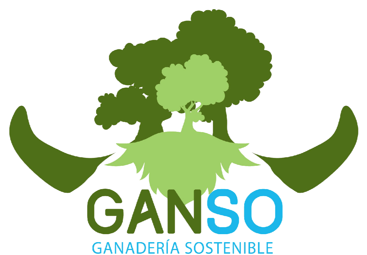 Ganso
