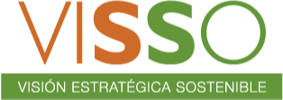 Visso consultores