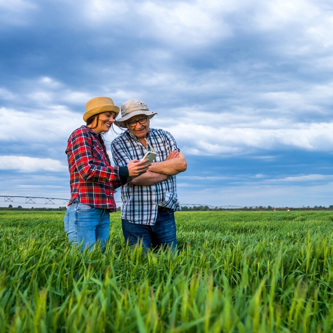 Consulting and advice